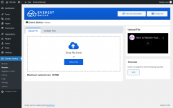Page screenshot: Everest Backup → Restore