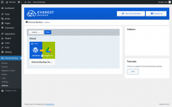 Page screenshot: Everest Backup → Addons