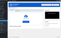 Page screenshot: Everest Backup → Restore