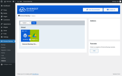 Page screenshot: Everest Backup → Addons