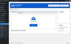 Page screenshot: Everest Backup → Restore