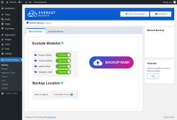 Page screenshot: Everest Backup