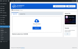Page screenshot: Everest Backup → Restore