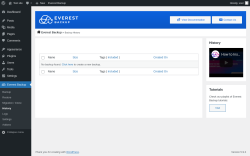 Page screenshot: Everest Backup → History