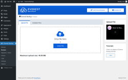 Page screenshot: Everest Backup → Restore