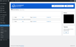 Page screenshot: Everest Backup → History