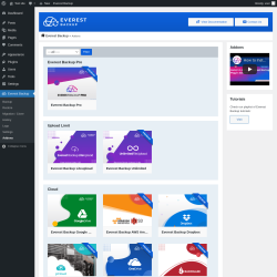 Page screenshot: Everest Backup → Addons