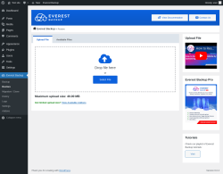 Page screenshot: Everest Backup → Restore