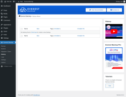 Page screenshot: Everest Backup → History