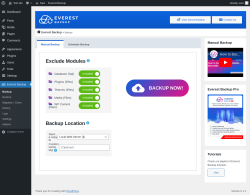 Page screenshot: Everest Backup