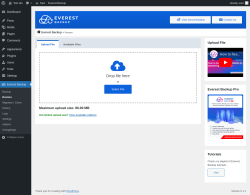 Page screenshot: Everest Backup → Restore