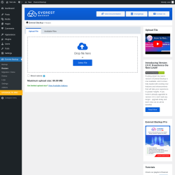 Page screenshot: Everest Backup → Restore