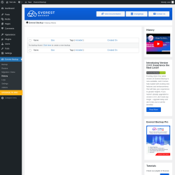 Page screenshot: Everest Backup → History