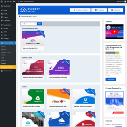 Page screenshot: Everest Backup → Addons