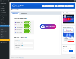 Page screenshot: Everest Backup