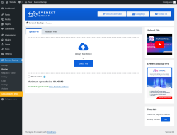 Page screenshot: Everest Backup → Restore