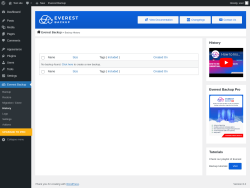 Page screenshot: Everest Backup → History