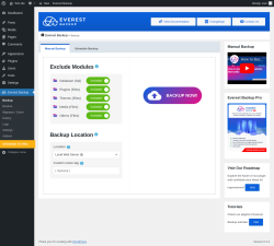 Page screenshot: Everest Backup