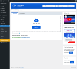 Page screenshot: Everest Backup → Restore
