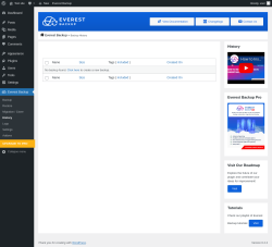 Page screenshot: Everest Backup → History