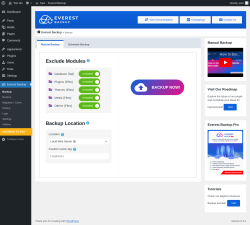 Page screenshot: Everest Backup