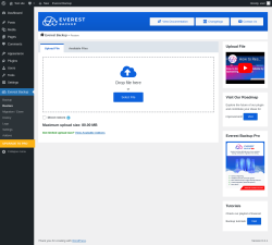 Page screenshot: Everest Backup → Restore