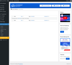 Page screenshot: Everest Backup → History