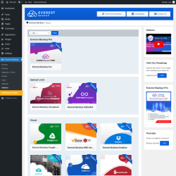Page screenshot: Everest Backup → Addons
