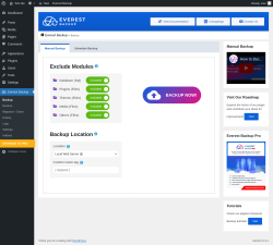 Page screenshot: Everest Backup