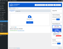 Page screenshot: Everest Backup → Restore