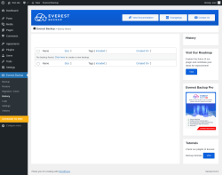 Page screenshot: Everest Backup → History