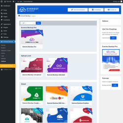 Page screenshot: Everest Backup → Addons