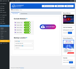 Page screenshot: Everest Backup