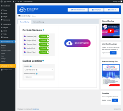 Page screenshot: Everest Backup