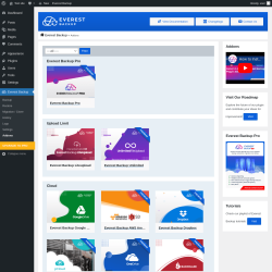 Page screenshot: Everest Backup → Addons