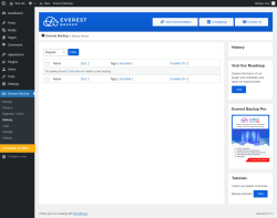 Page screenshot: Everest Backup → History