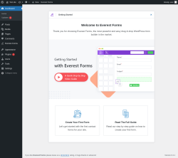 Page screenshot: Welcome to Everest Forms &lsaquo; Test site &mdash; WordPress
