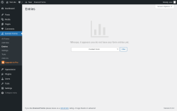 Page screenshot: Everest Forms &rarr; Entries