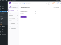 Page screenshot: Everest Forms &rarr; Settings