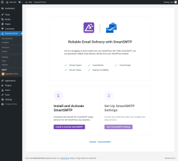 Page screenshot: Everest Forms &rarr; SMTP