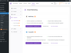 Page screenshot: Everest Forms &rarr; Settings &rarr; 
										
											
  

										
										
											Integration
											
												
											
										
									