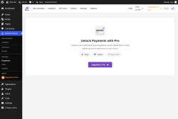 Page screenshot: Everest Forms &rarr; Payments