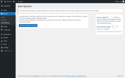 Page screenshot: Media &rarr; Bulk Optimize