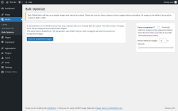 Page screenshot: Media &rarr; Bulk Optimize