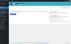 Page screenshot: Media &rarr; Bulk Optimize