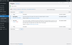 Page screenshot: Plugins ‹ Test site — WordPress