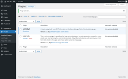 Page screenshot: Plugins &lsaquo; Test site &mdash; WordPress