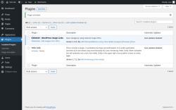 Page screenshot: Plugins ‹ Test site — WordPress