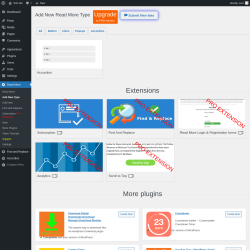 Page screenshot: Read More → Add New Type → Accordion