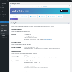 Page screenshot: ExploreXR &rarr; Loading Options